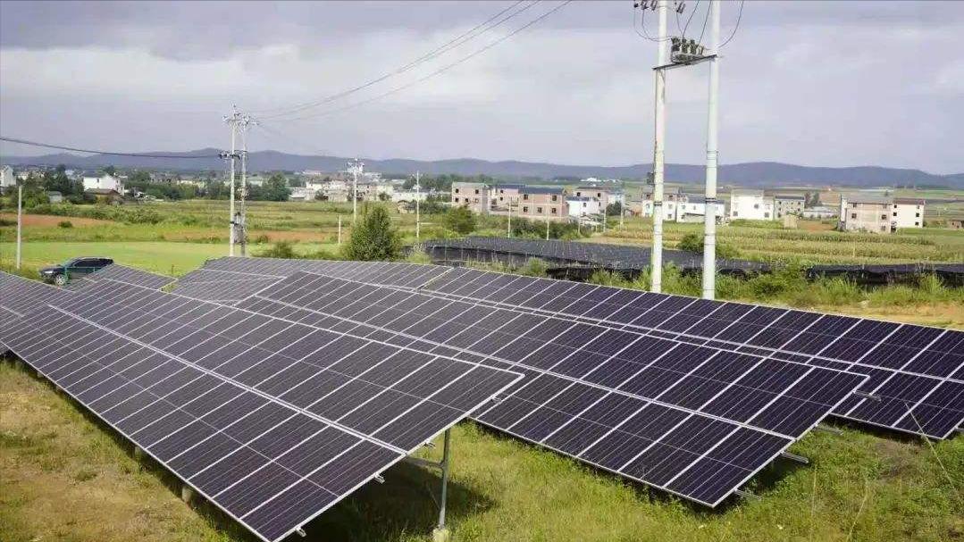 靠晒太阳躺赚上万农民被骗,靠晒太阳躺赚坑了无数人