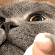 一个不起眼却暴利小生意120万投资,一个不起眼却暴利小生意120万加盟