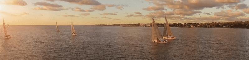 36氪专访阿里,36氪采访地平线