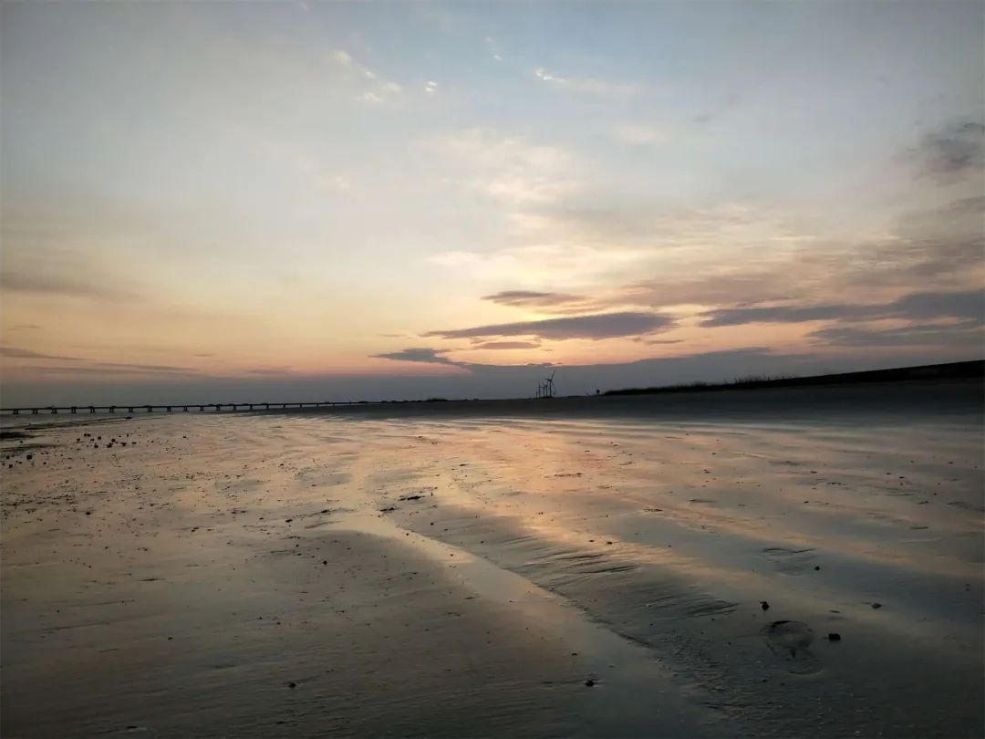 上海看海10大最美海滩浦东,上海海滩景点排名