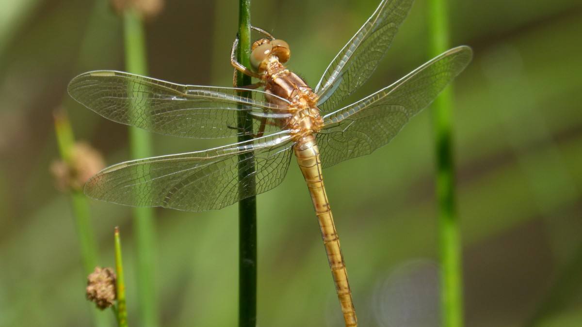 童年中哪些游戏最好玩儿,童年时代想怎么玩就怎么玩