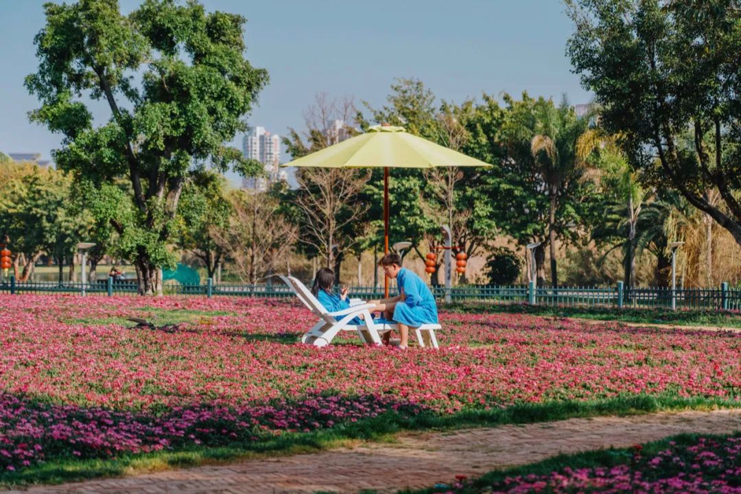 昆明周边神仙秘境,藏在昆明市内的神仙秘境