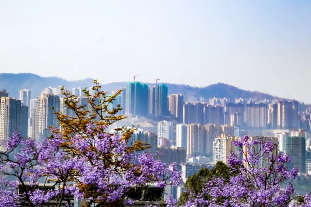 喜欢在这座江南城市里生活,非常喜欢这座自带浪漫的美丽城市