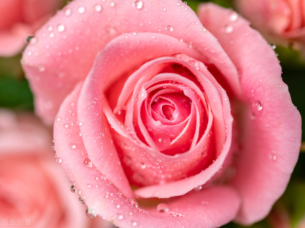 老祖宗传承下来的妙法,老祖宗留下的八条处事智慧