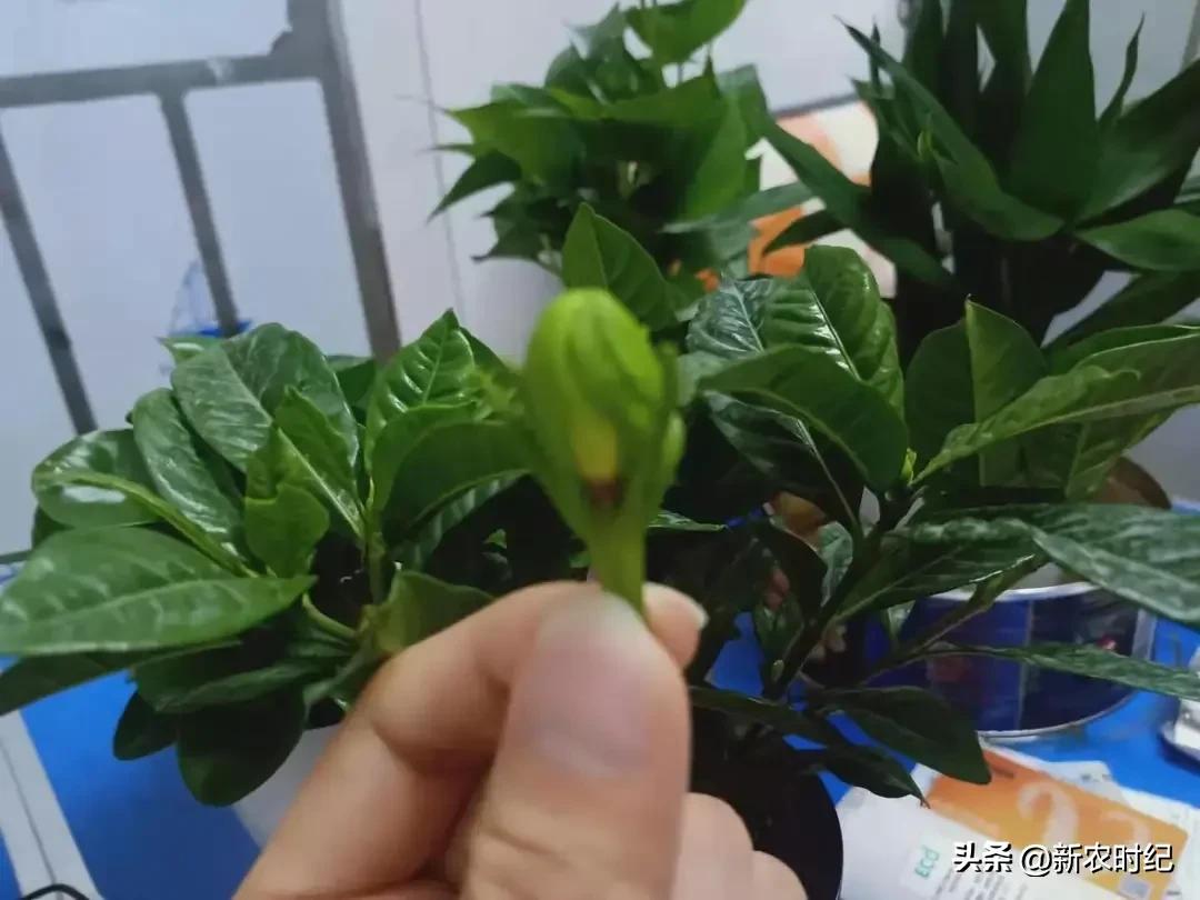 广州白云租房社区门禁 (广州城中村出租房收费标准)