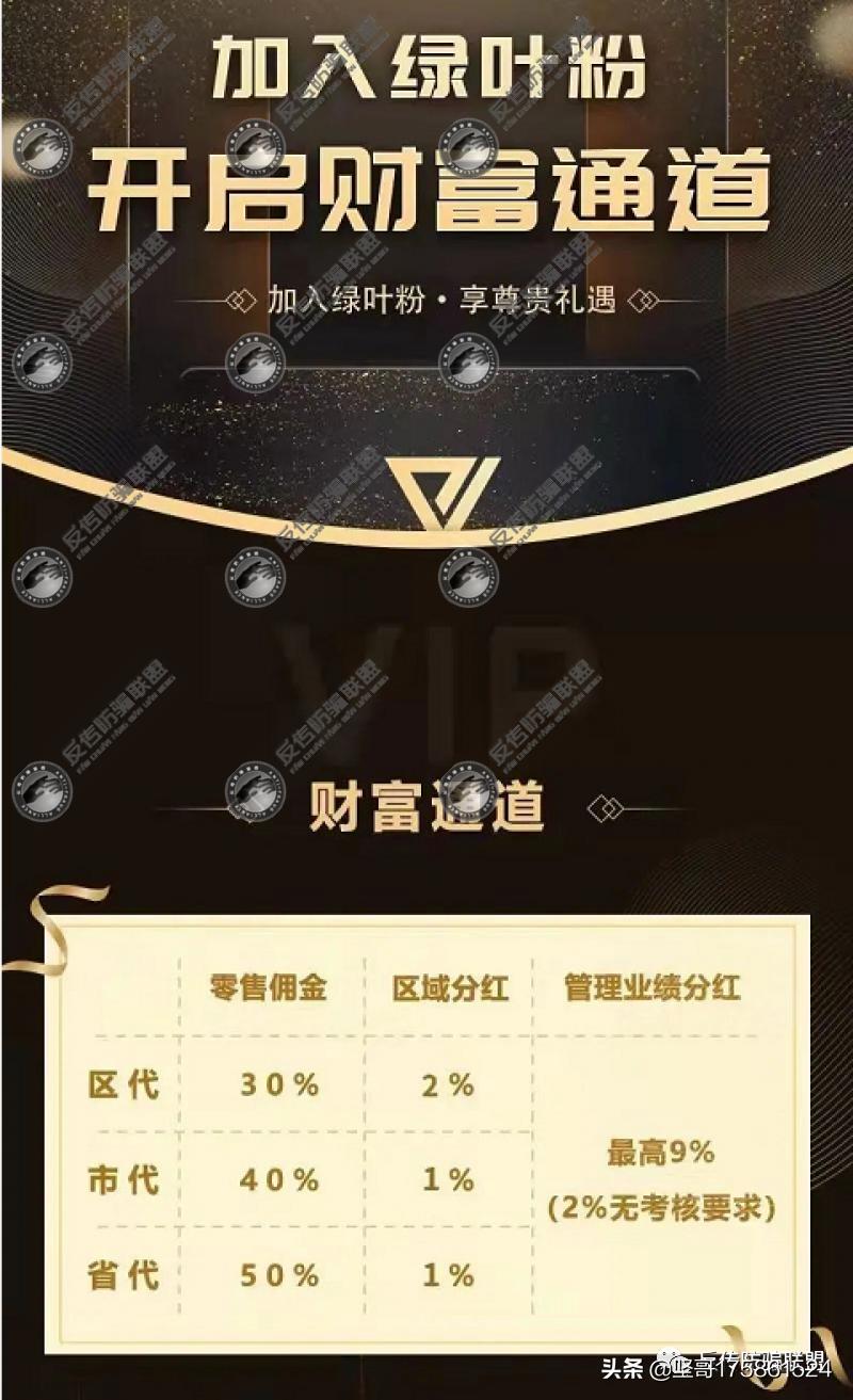 苏州绿叶为什么关闭了公司,苏州绿叶公司合法吗