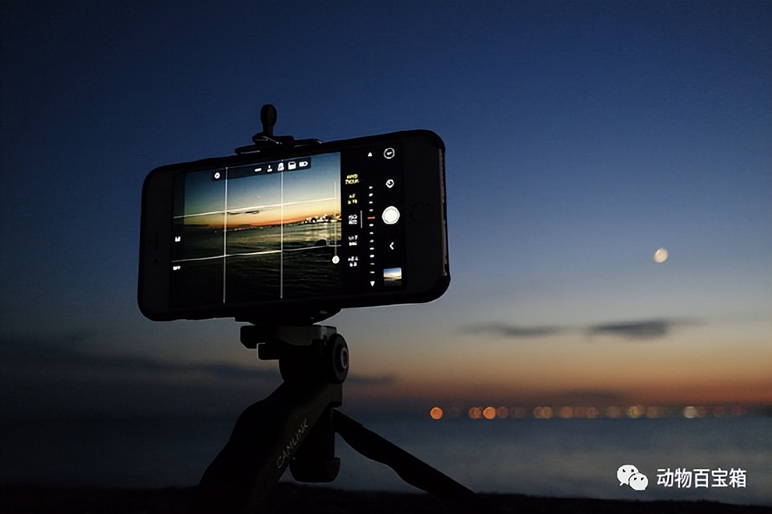 智能手机被替代智能电视的原因,智能电视取代传统电视