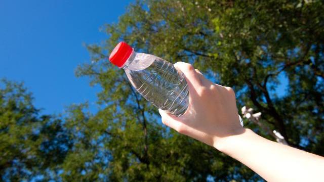 沈阳野生动物园带点啥东西喂动物,沈阳动物园冬季有哪些动物