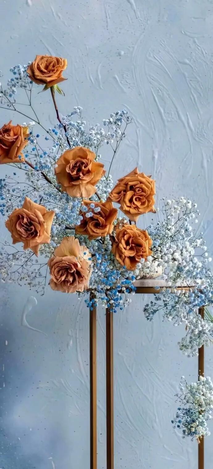 上班励志高清壁纸4k全屏电脑壁纸,黑鲨壁纸动态壁纸高清全屏90帧