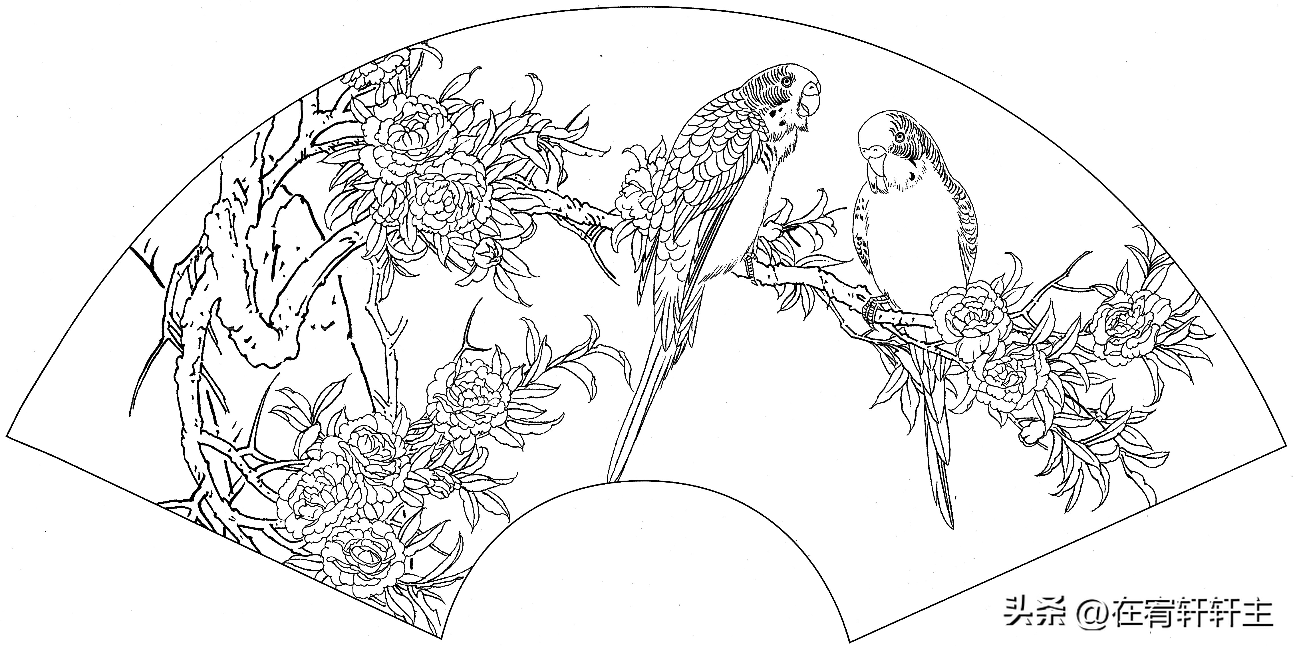 工笔白描祥云图案扇面,工笔扇面葡萄白描图片