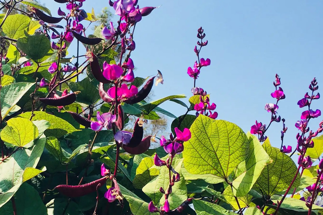 疏雨梧桐，惊破秋梦。10场诗词中的秋雨，写尽人生悲欢离合
