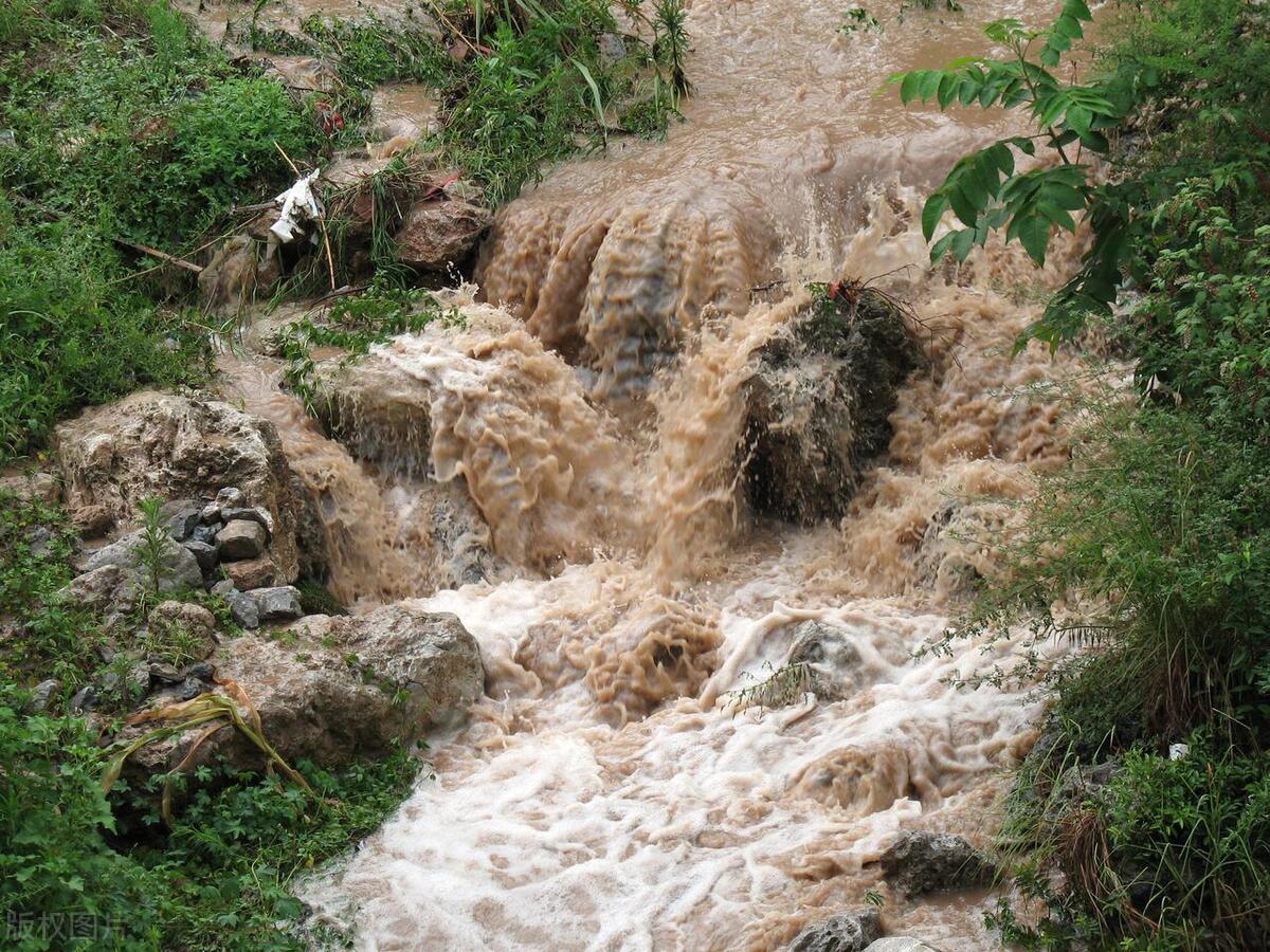 关于端午节的日历上的宜和忌,端午节的禁忌和讲究你知道多少