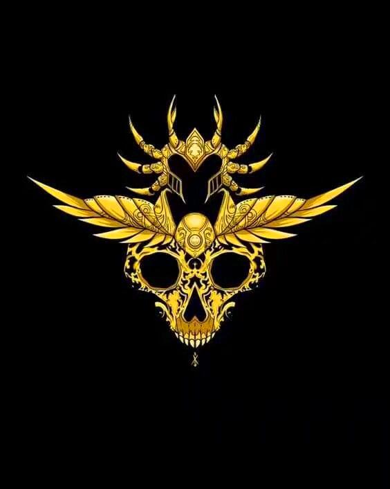 圣斗士星矢黄金圣衣图片,圣斗士星矢黄金圣斗士圣衣的图案