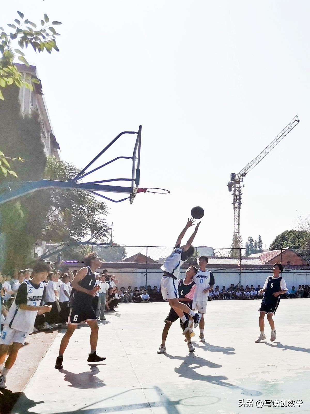 社团风采展主题简短,硕果盈枝香满园