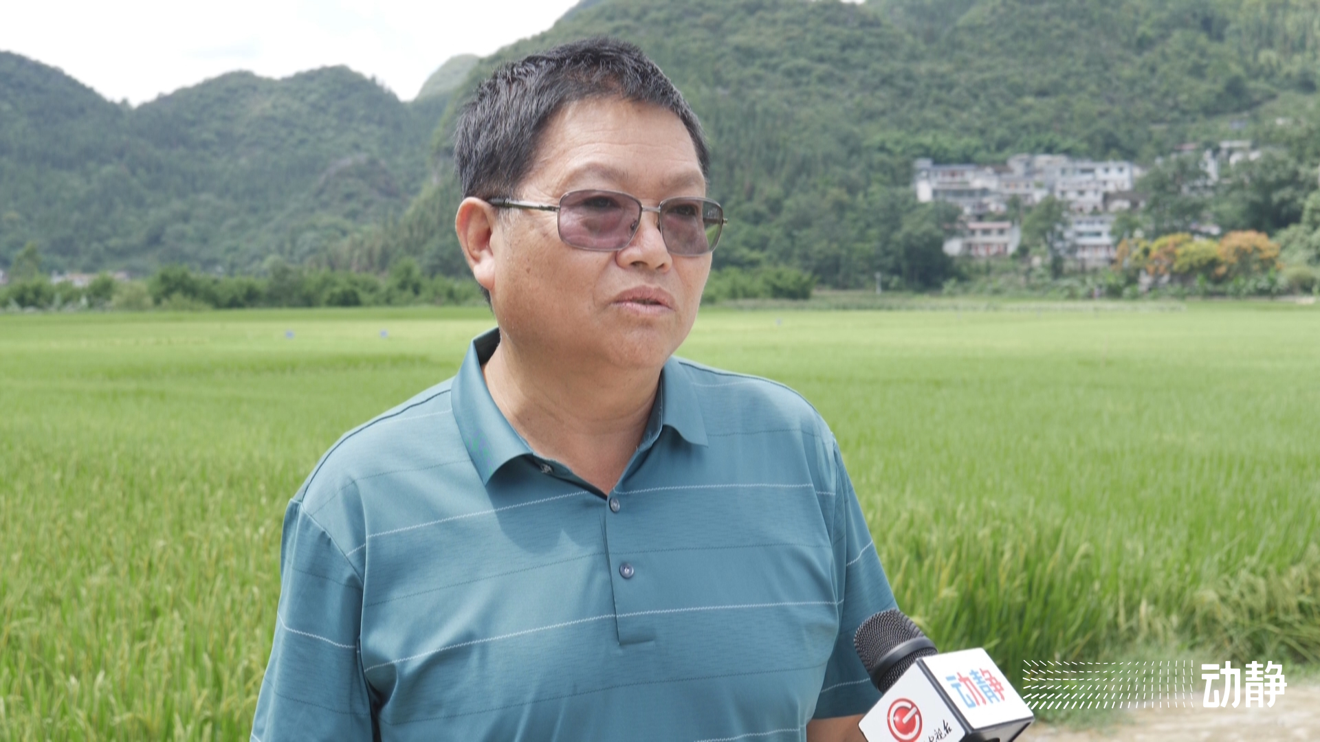 万峰林长视频,万峰林实时画面