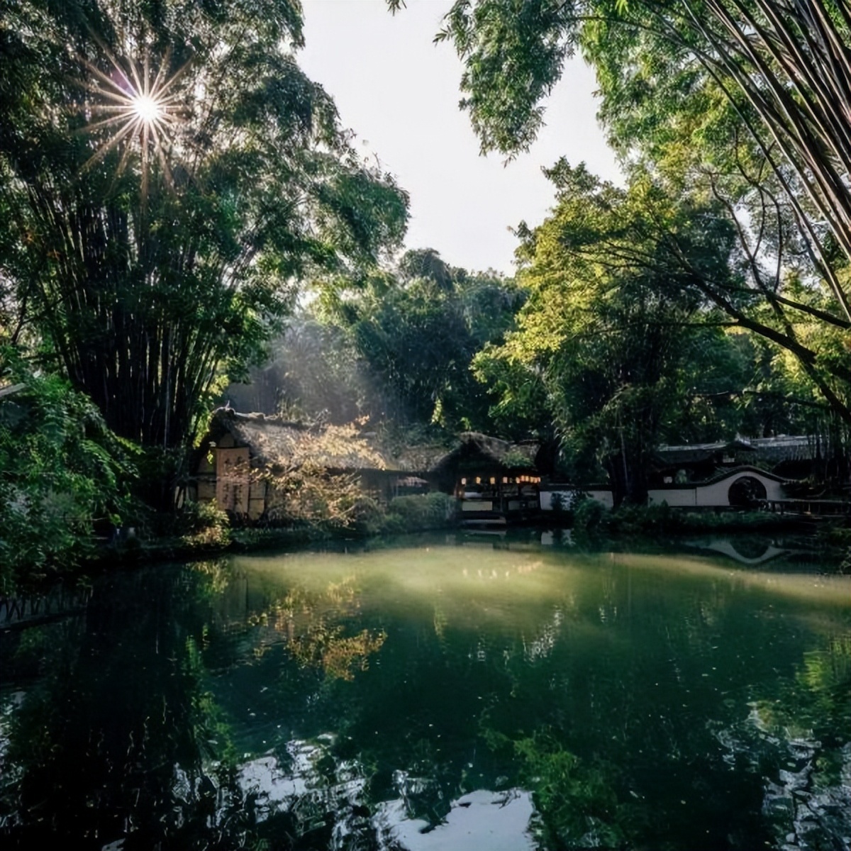 中科院微生物研究所白逢彦,中科院微生物研究所食用菌种