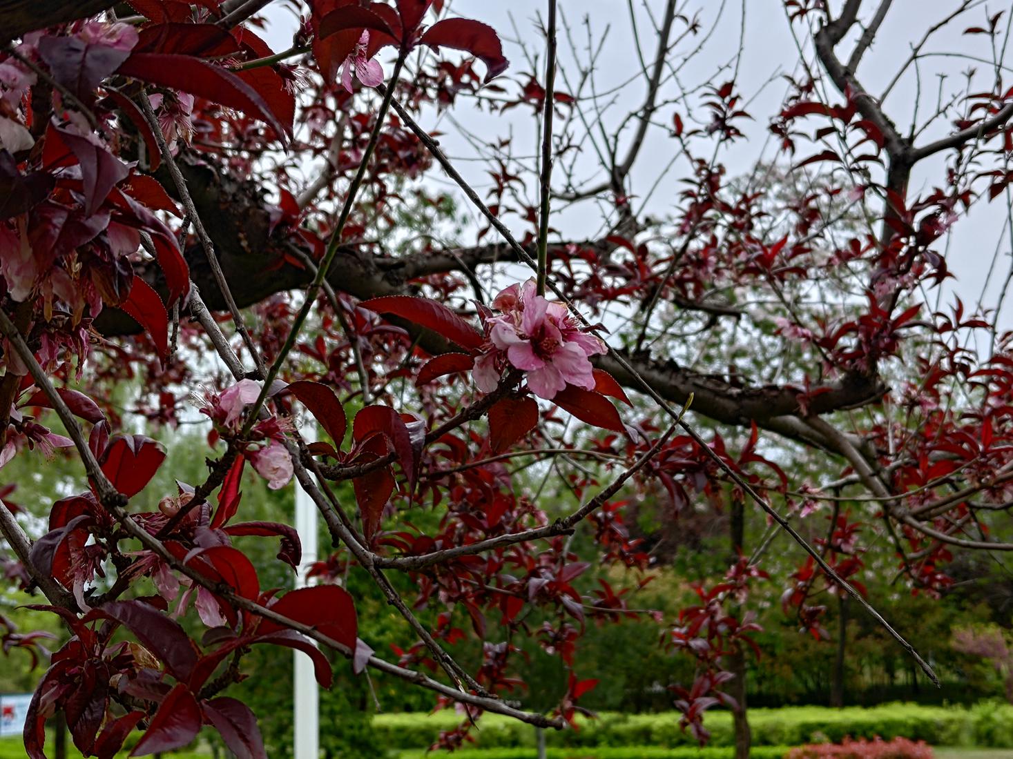 鏂板搧鑵捐rog娓告垙鎵嬫満7pro,涓撲笟鐜╁蹇呯湅鑵捐rog娓告垙鎵嬫満7pro