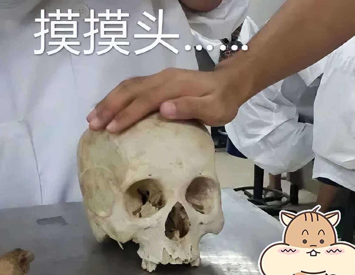 专科口腔医学专业就业前景如何,十年后口腔医学专业就业前景如何