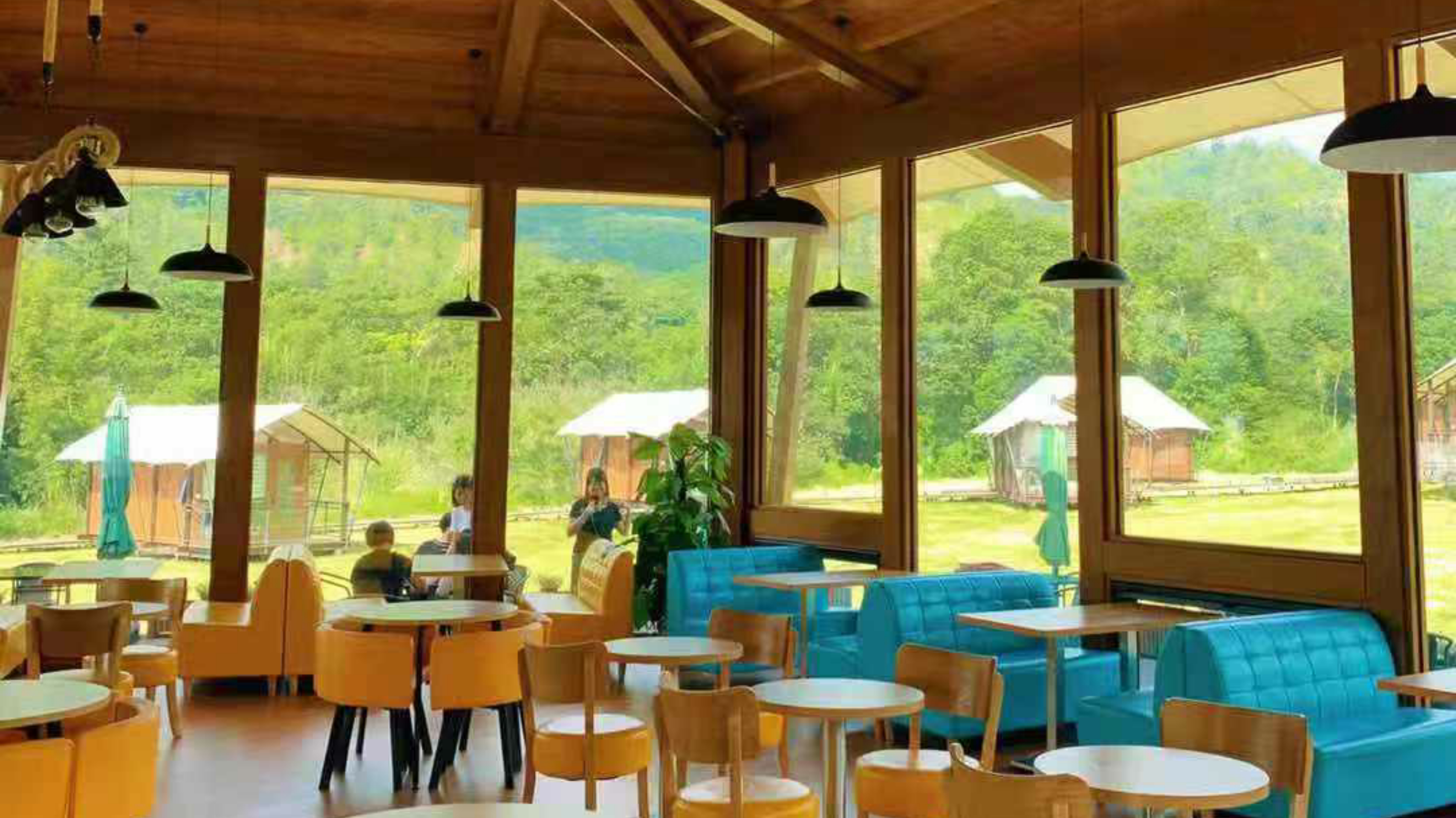 惠州赏梅花地方,惠州惠东梁化镇梅园