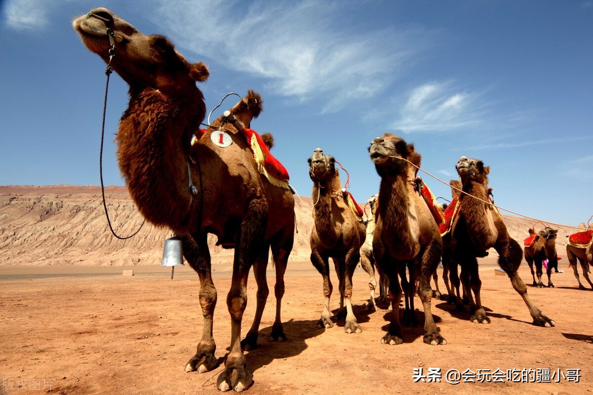 南疆旅游攻略,南北疆最值得去的景点