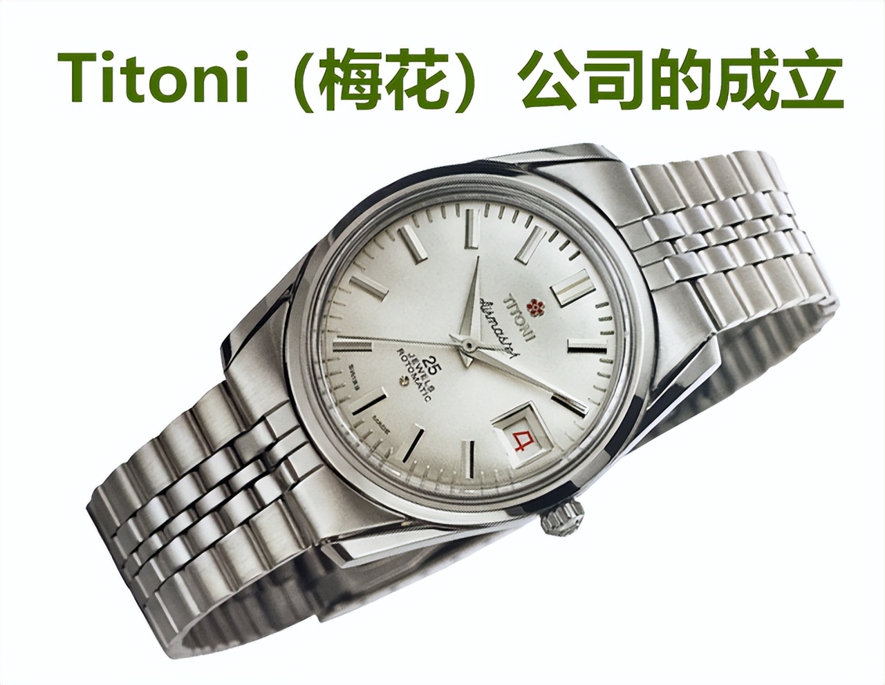 梅花总部成立 (新成立的梅花企业)