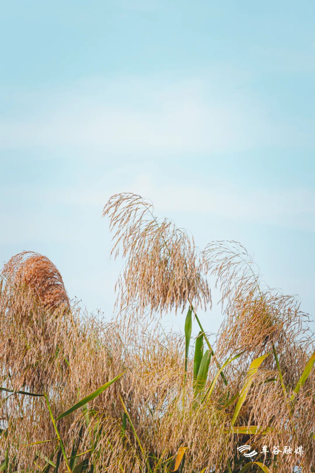 最美绿道骑行攻略,淘金山骑行绿道和东湖骑行绿道