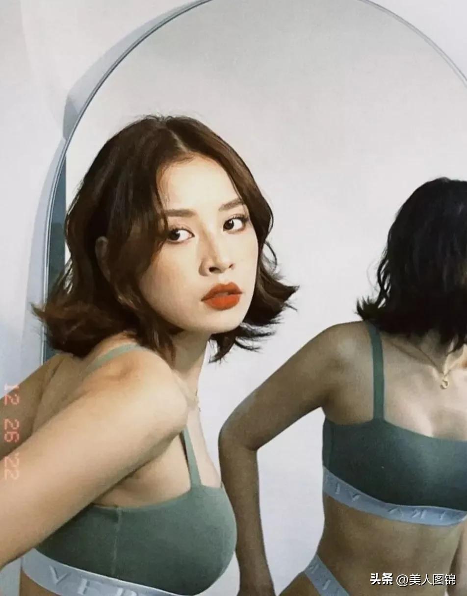 越南芝芙,芝芙越南