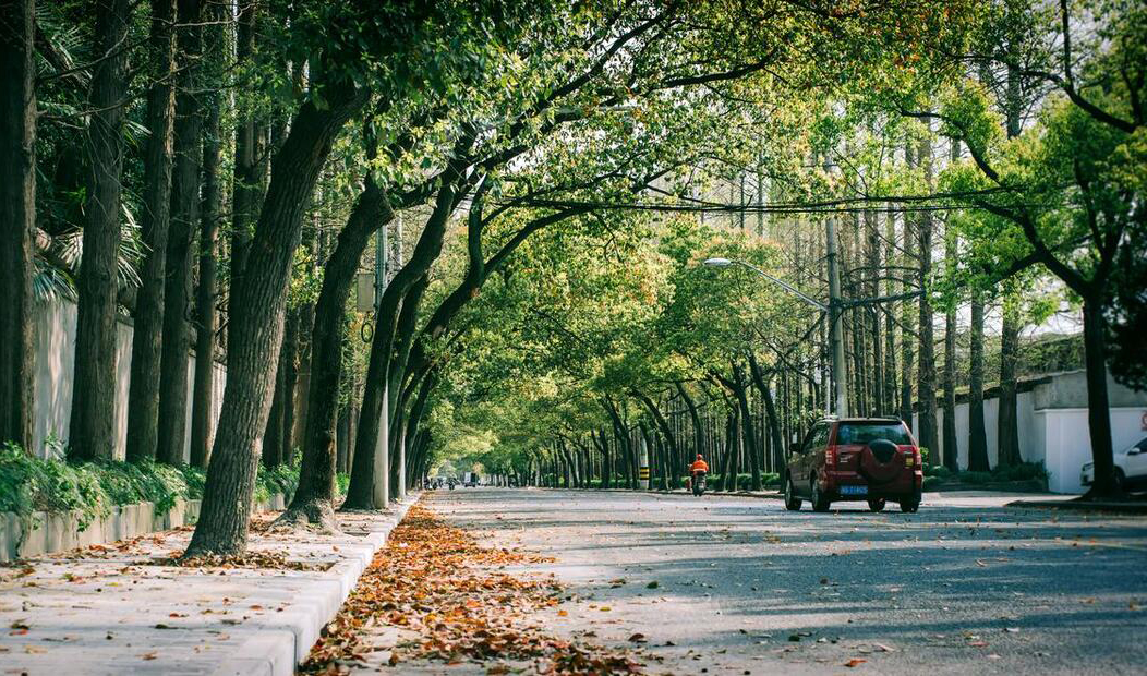 杨浦为什么被称为大杨浦,杨浦区是上海市中心还是郊区