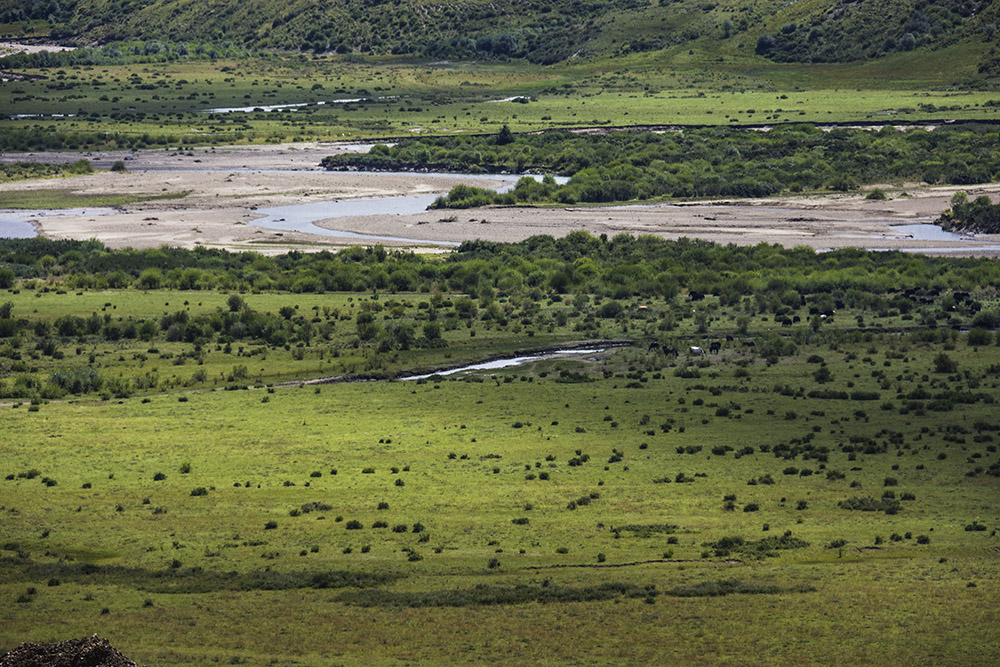 西部大草原旅游攻略,四川红原大草原自驾旅游攻略