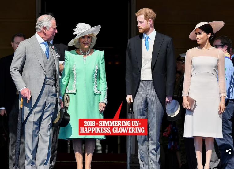 哈里王子为何恨卡米拉,哈里王子抨击卡米拉