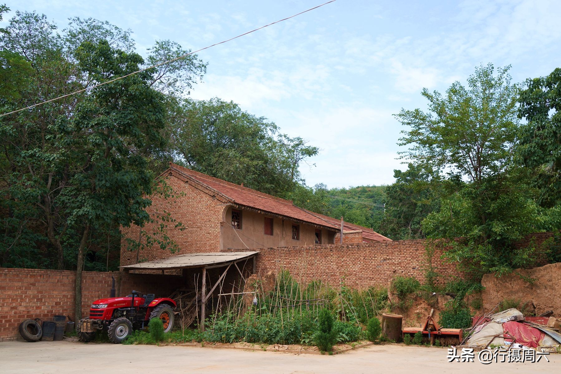 农村大姐养宠物犬,农村大姐养土狗视频
