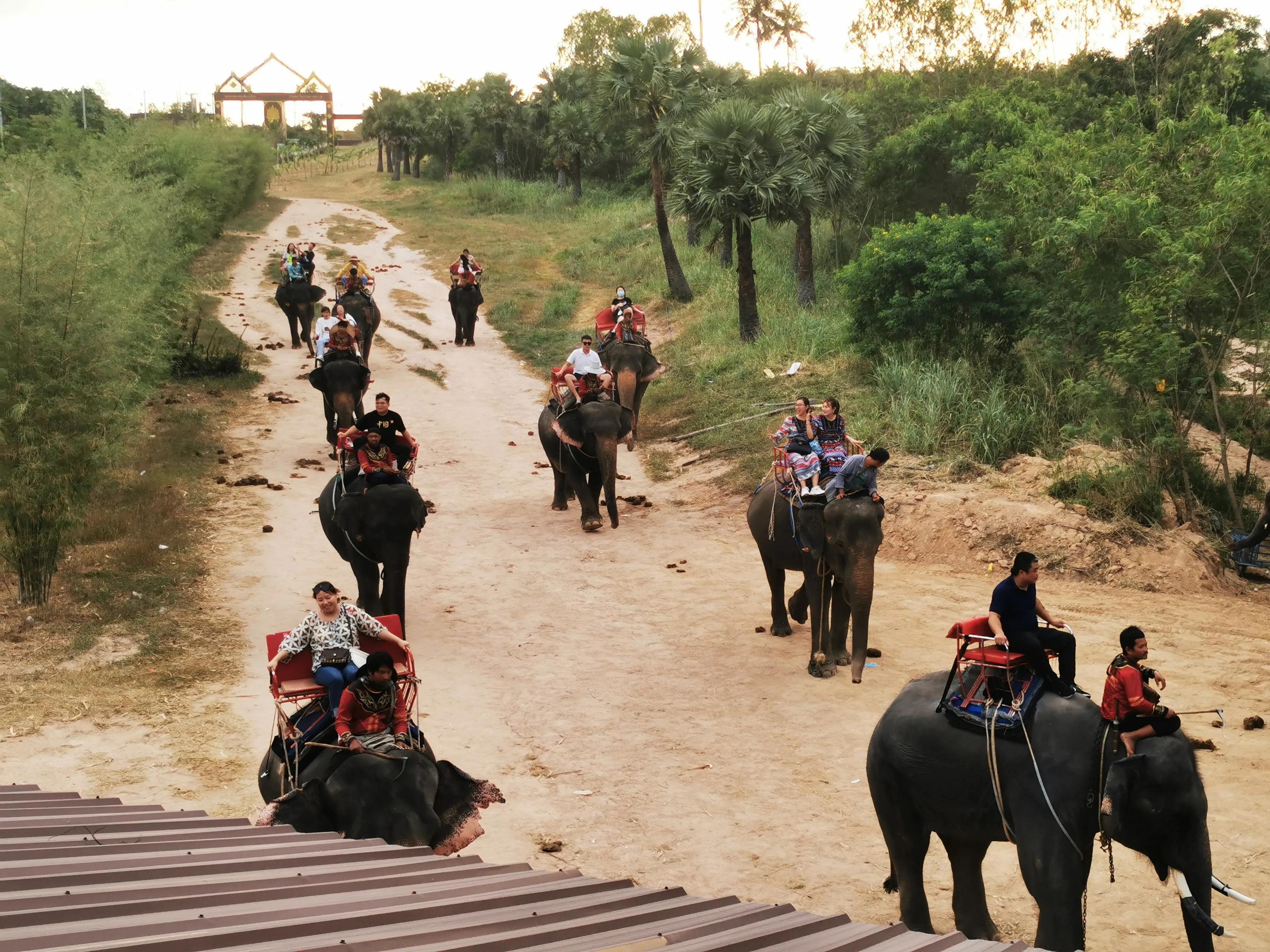 囧途三部曲泰囧,囧行在线观看完整版