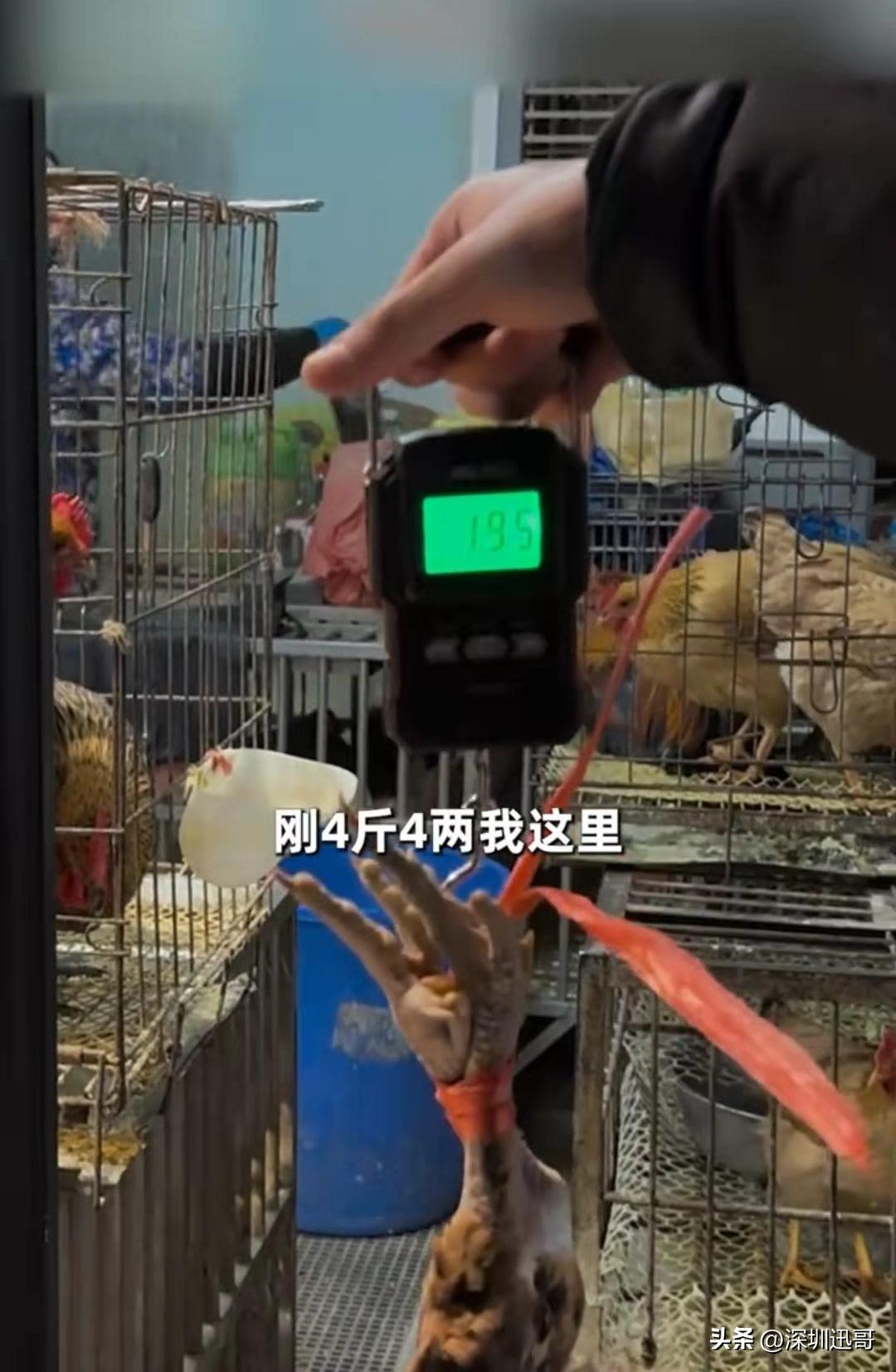 长沙：买三只螃蟹坑112元，网友：公开的秘密！