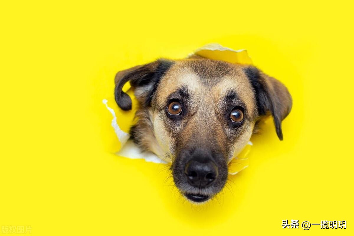 有哪些网站你一旦知道就离不开它,哪些是你离不开的网站