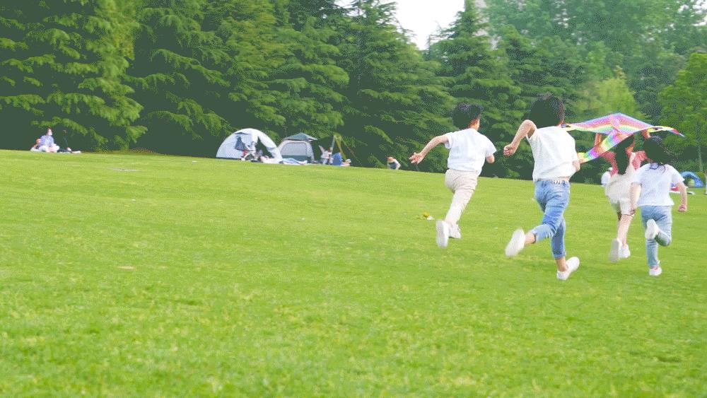 西安周末带娃去哪赏花放风筝,西安冬天周末户外遛娃好去处推荐