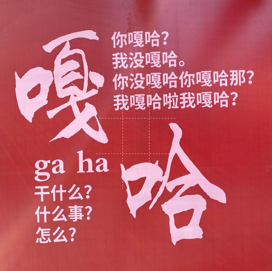 黑龙江话方言大全,绥化方言怎么读