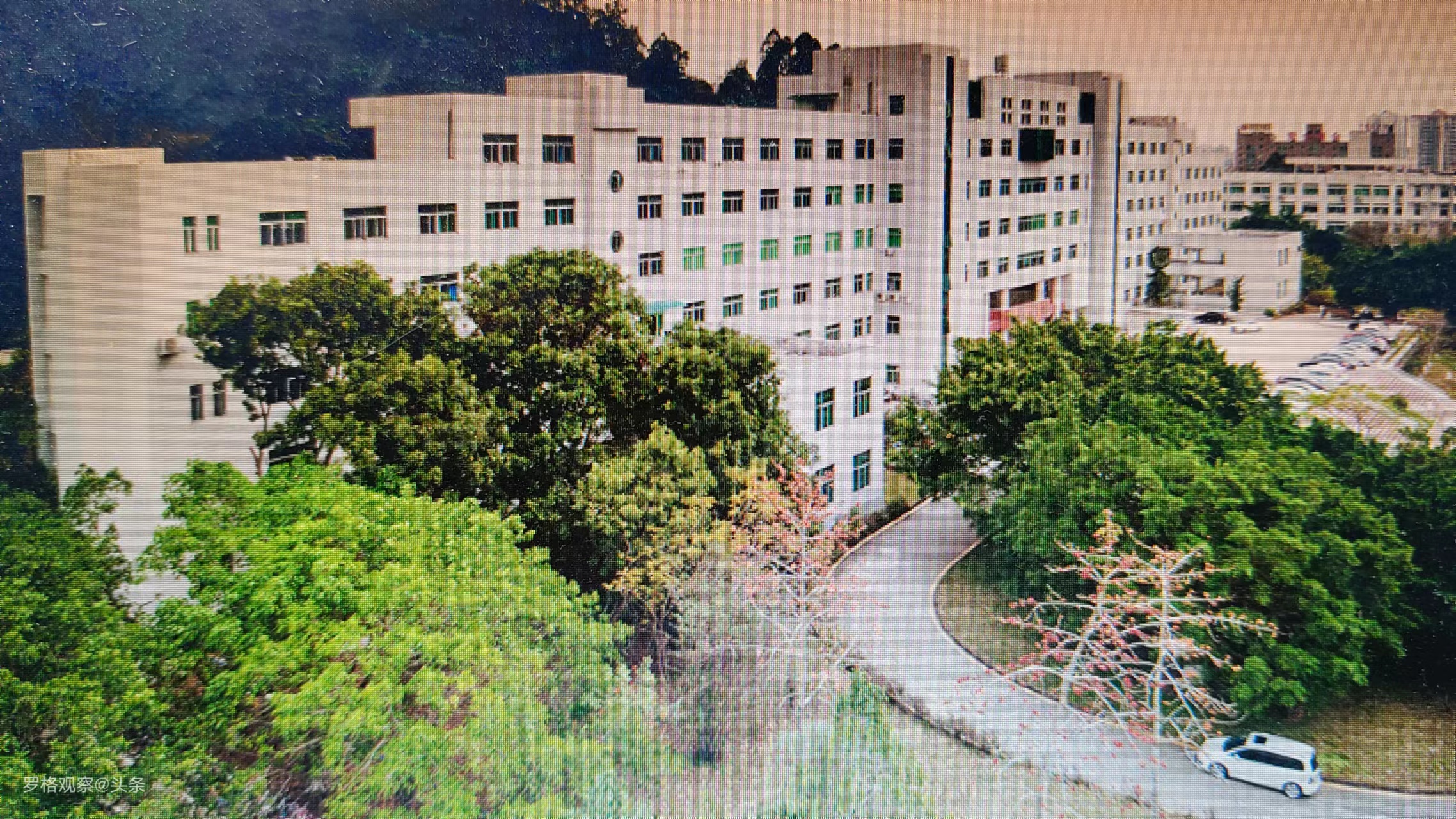 第7所惠州学院│从毕业生信息看惠州学院热门专业有哪些