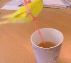 快乐源泉333,快乐源泉新玩具