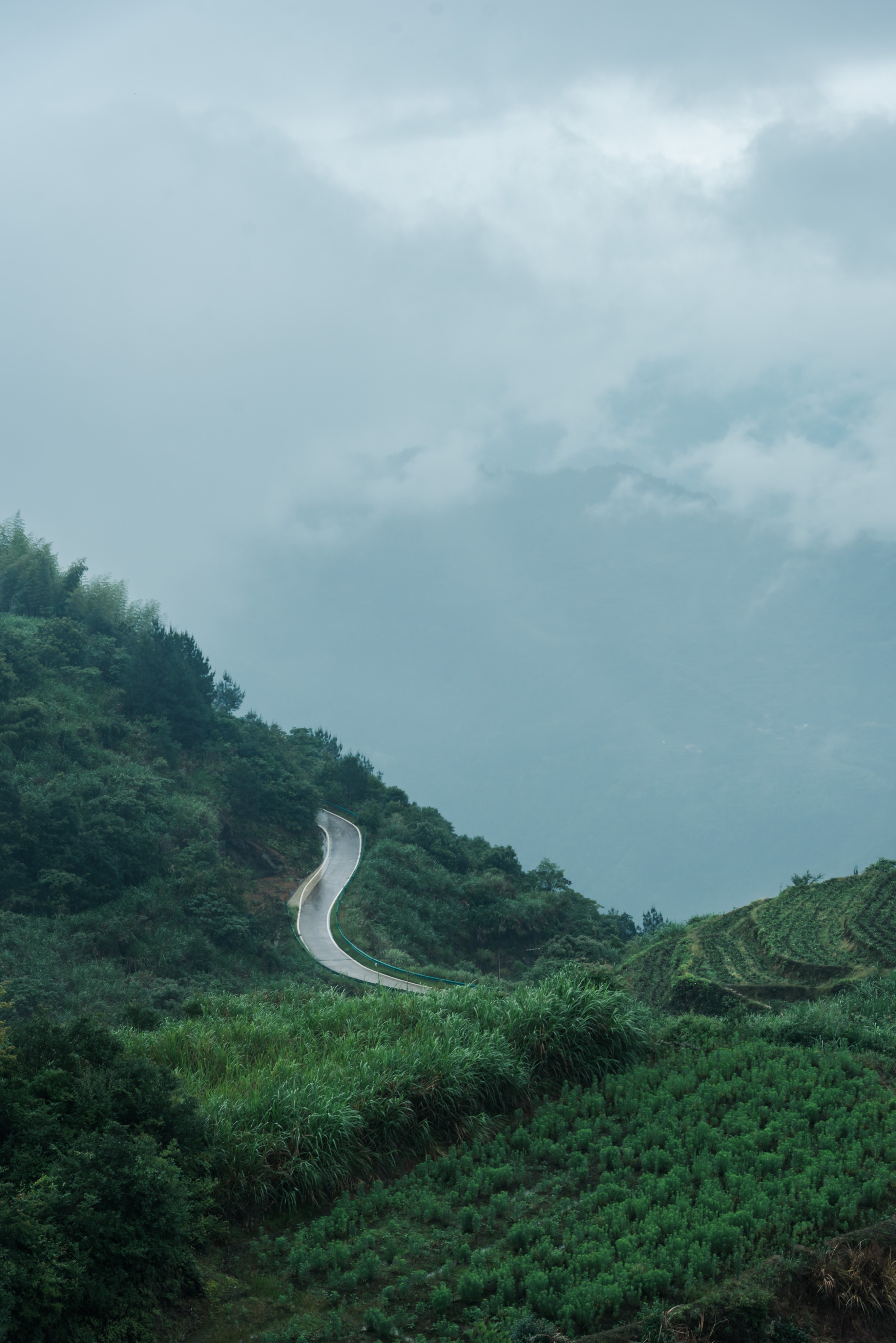 丽水遂昌旅游攻略一天游 (丽水遂昌被称旅游胜地)