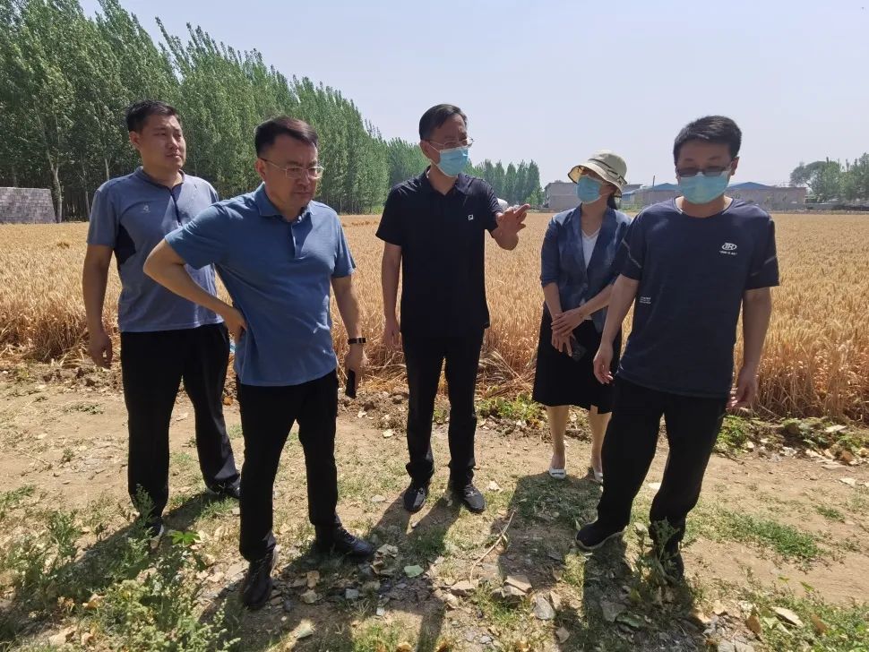 2022年临沂市拟任干部公示,临沂市委组织部干部任前公示