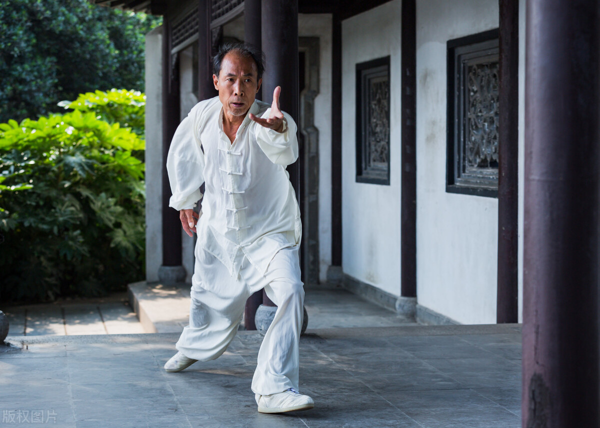 中国武术门派十大排名,中国武术流派