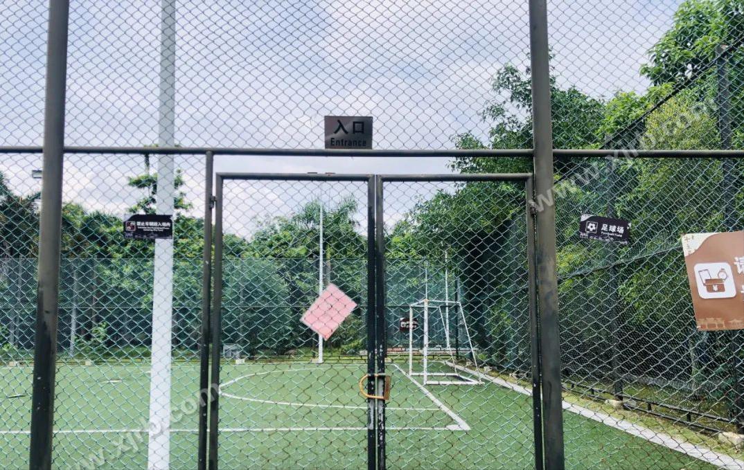 日本国足和德国国足的实力,日本2-1击败德国队国足队员