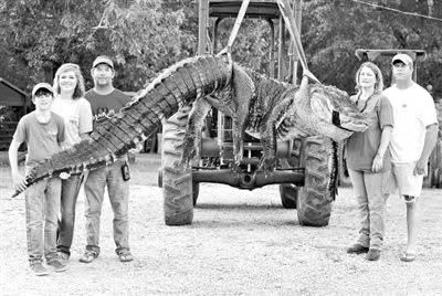 一条巨鳄被开膛破肚,胃里发现一堆遗物,解开了24年前的一个谜团