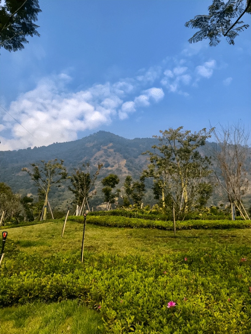 【散文】俯瞰米易县城‖袁征