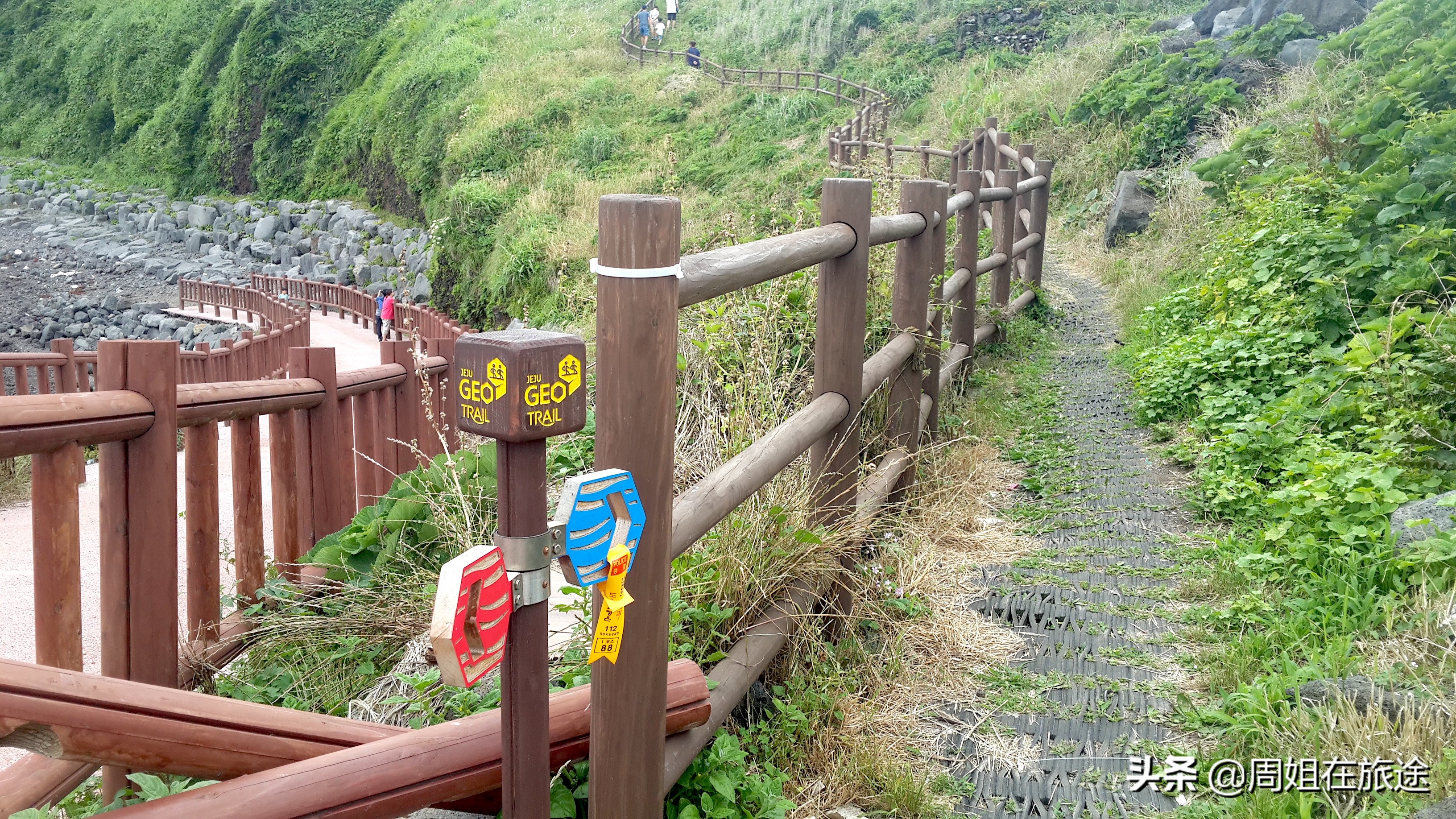 一个人跑去国外旅游，用5天时间考了一个驾照回来，国内能用吗