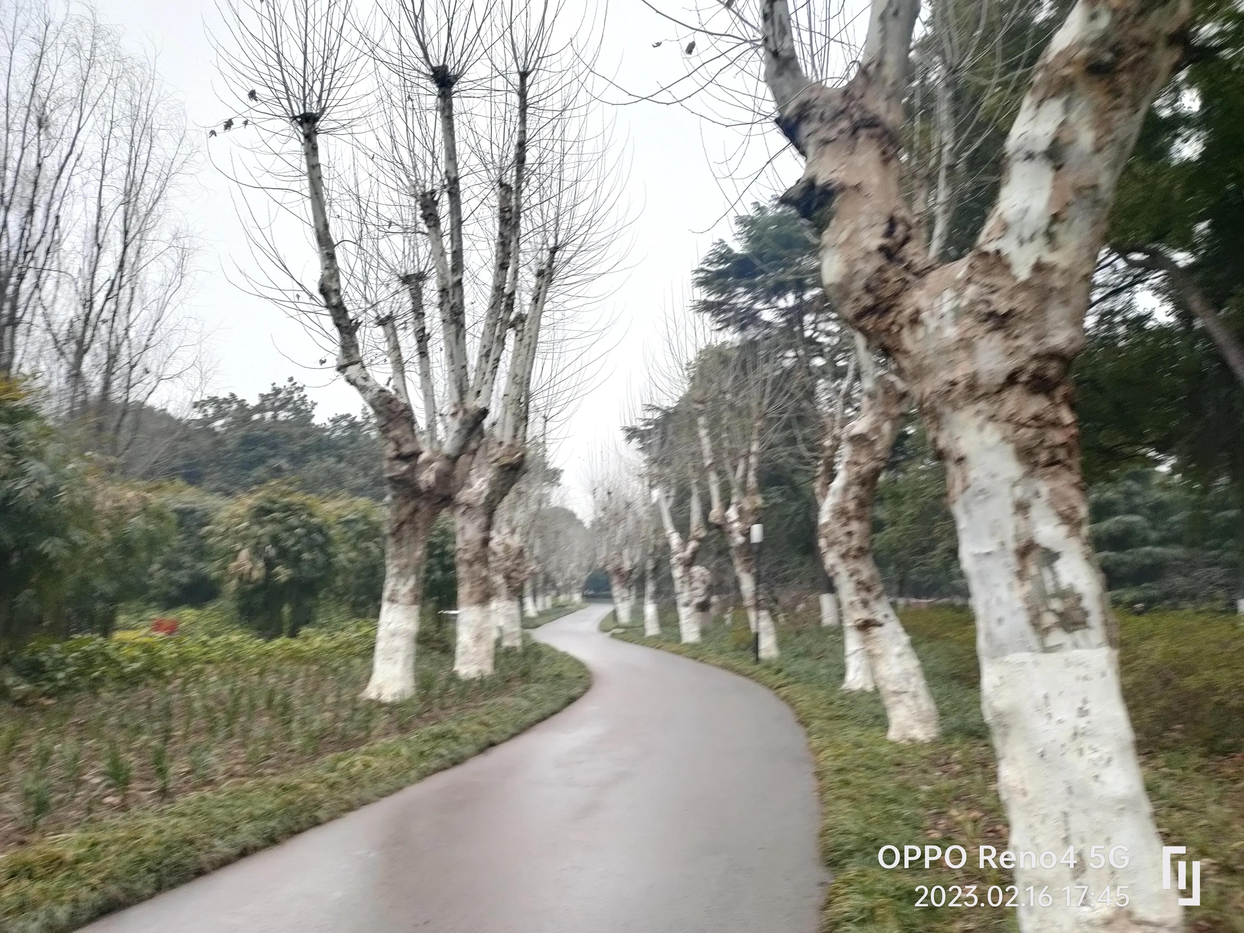 沙市中山公园简介,沙市中山公园