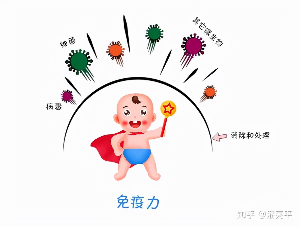 可以增强免疫力的中药方子——增免方