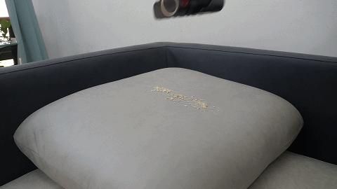 灏忕嫍鍚稿皹鍣╰12pro鍜宼12plus娴嬭瘎,灏忕嫍鍚稿皹鍣╰12pro娣卞害娴嬭瘎