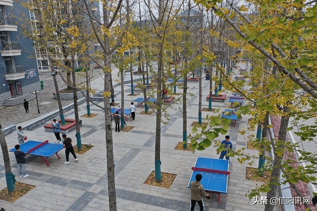 信阳航空职业学院南湾校区项目,信阳航空职业学院就业前景如何