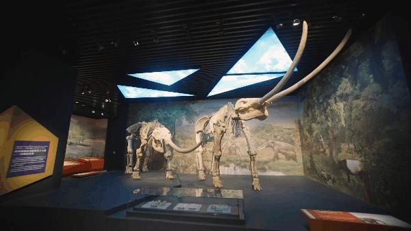 重庆自然资源科普馆有讲解吗,重庆自然资源科普馆一共几个馆